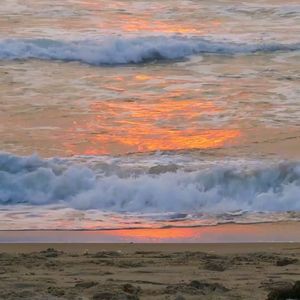 Meet your Posher, Conner